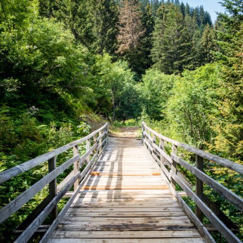 Wood bridge in a fir forest. La clusaz, Haute-savoie, France